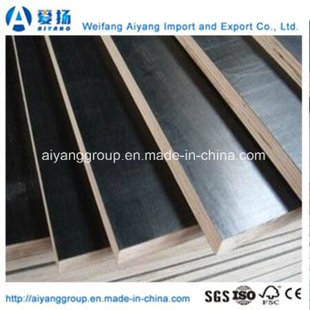 Marine Plywood with Black Film (size 610mm*2440mm)